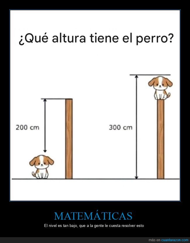 perro,altura,matem&aacute;ticas,acertijo,medidas