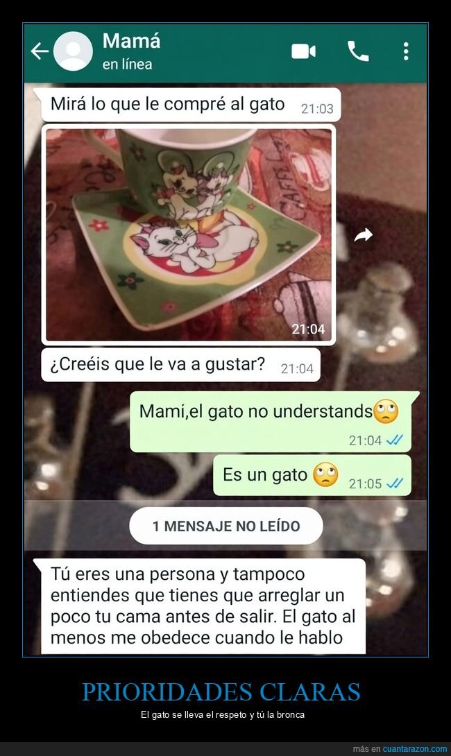 madre,whatsapp,gato,bronca,prioridades