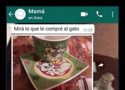 Enlace a El gato és más querido que tú