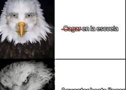 Enlace a El baño del cole es terreno enemigo