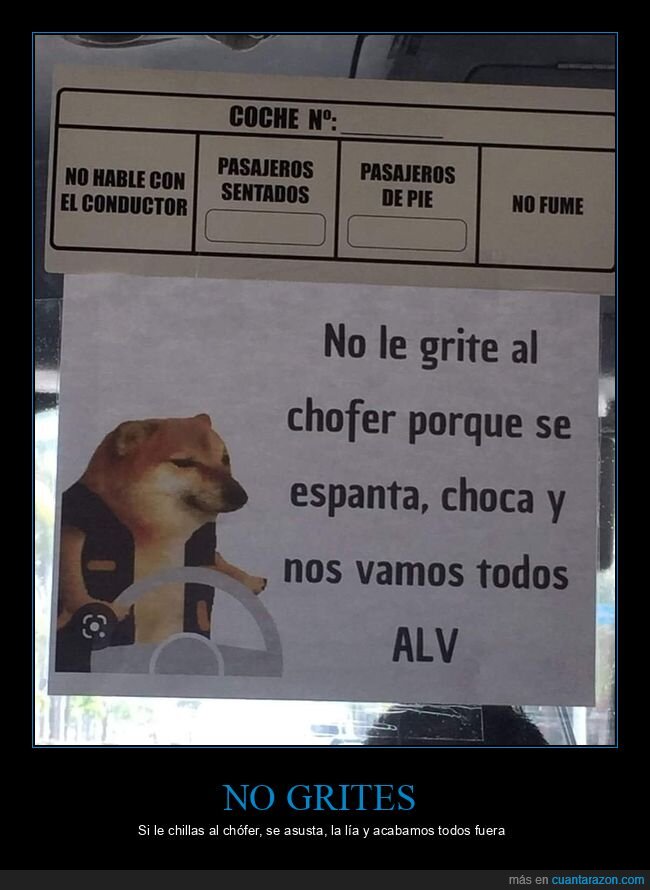 autob&uacute;s,ch&oacute;fer,cartel,perro,advertencia
