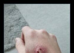 Enlace a Esto no acabará bien