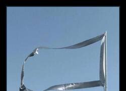 Enlace a Sin patria ni bandera