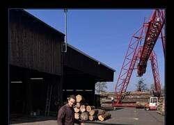 Enlace a La naturaleza también hace cambios de look por reacción