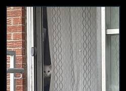 Enlace a Mejor esto que mis vecinas Concha y Charo