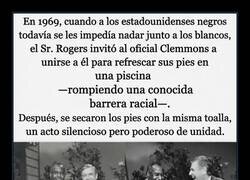 Enlace a Cuando el color no tiene nada que ver con ser humano