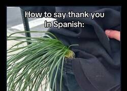 Enlace a Me hubiera costado mucho sacarlo