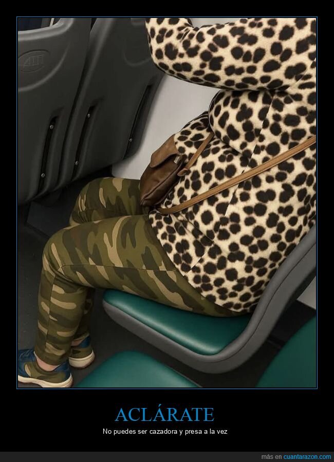 safari,camuflaje,leopardo,contraste,autob&uacute;s