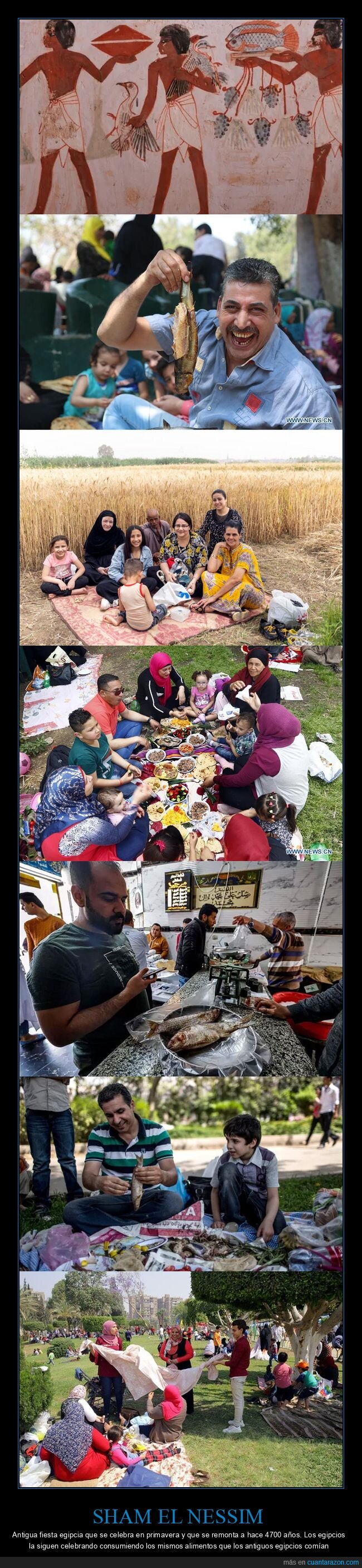 Egipto,festival,primavera,tradici&oacute;n,comida