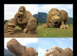 Enlace a El festival de la paja