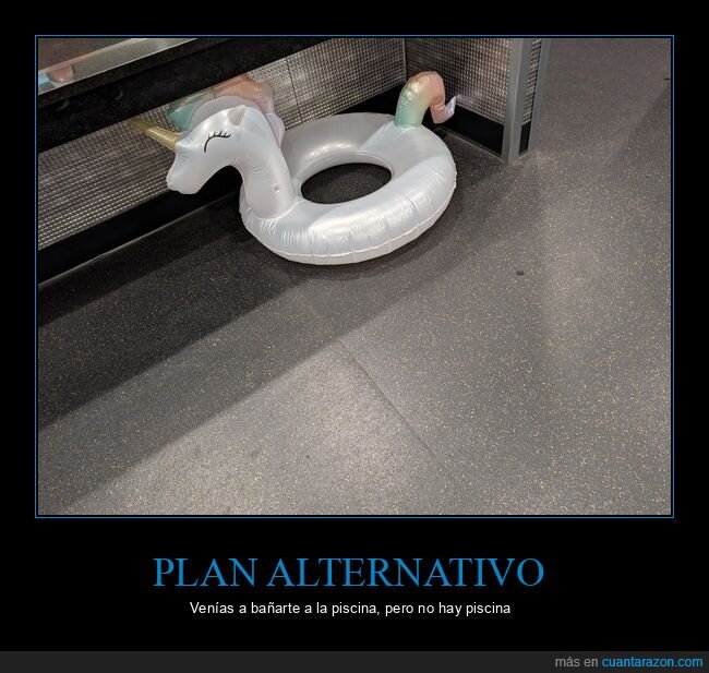 flotador,unicornio,vestuario,gimnasio,absurdo