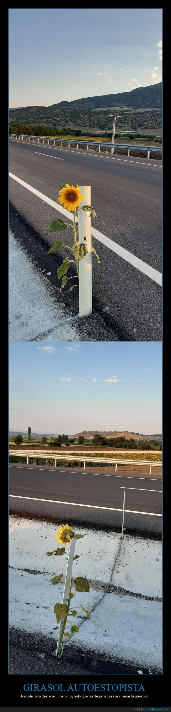 contraste,originalidad,calle,casa,desencanto