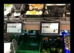 Enlace a En Turquía prefieren el aguacate español, aún siendo más caro que el israelí