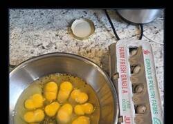 Enlace a Los 12 huevos que abrí tenían doble yema