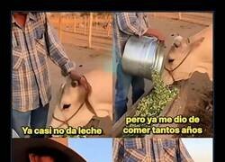 Enlace a Por cosas así, sigo creyendo en la humanidad