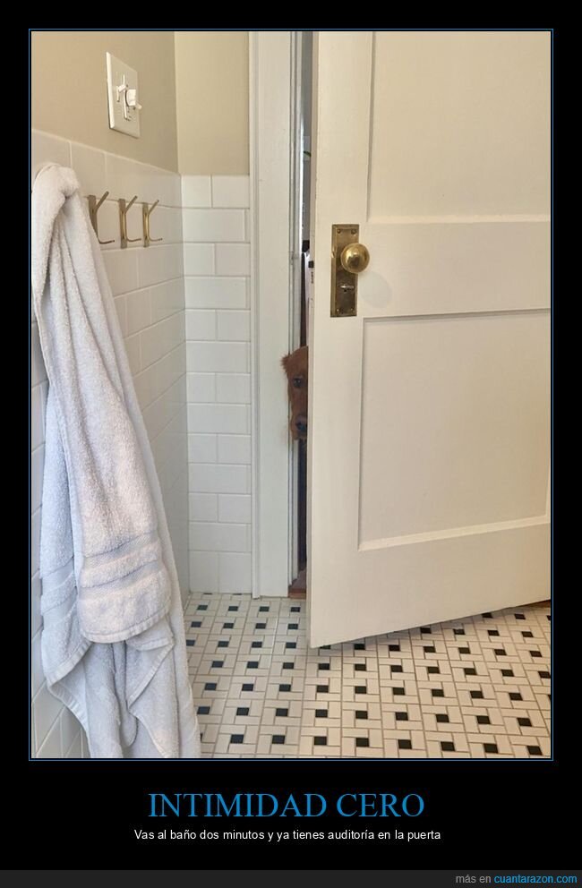 ba&ntilde;o,perro,puerta,privacidad,cotilleo