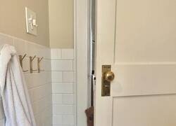 Enlace a Quien tenga mascotas, ya sabe de qué va el asunto