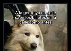 Enlace a Antes se caían billetes; ahora se caen facturas