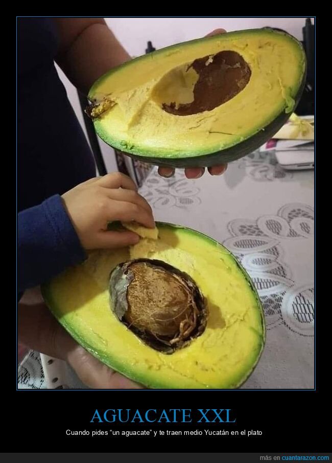 aguacate,gigante,Yucat&aacute;n,comida,sorpresa