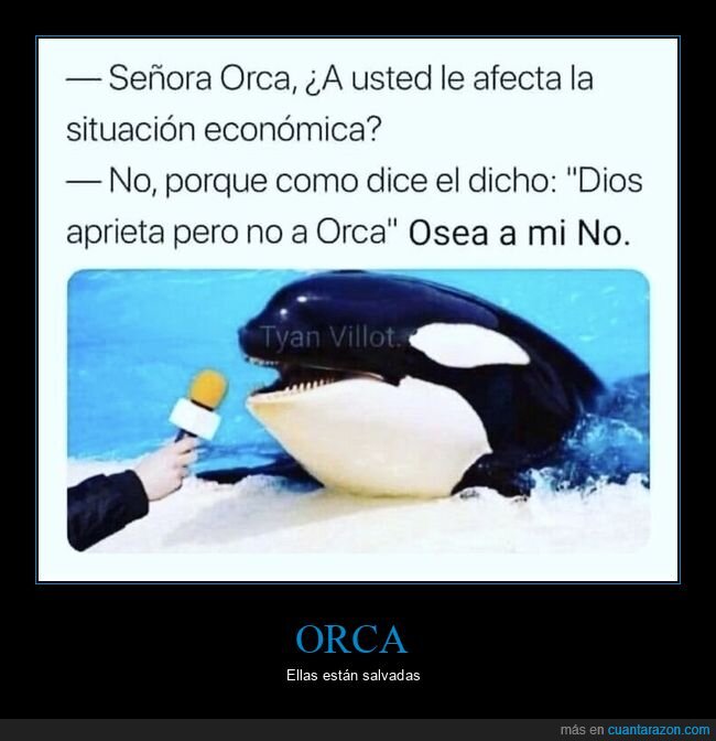 orca,entrevista,refran,economia,chiste