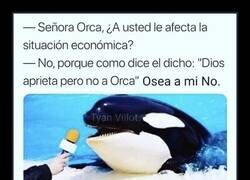 Enlace a Dios aprieta, pero no a Orca