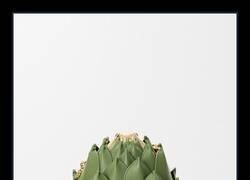 Enlace a 4.500€ y ni se come