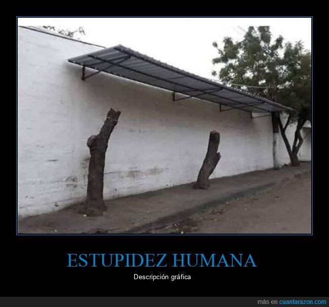 chapuza,arquitectura,obras,troncos,absurdo