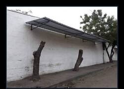 Enlace a Muy bien pensado todo