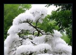 Enlace a Durará menos que mi motivación