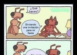 Enlace a Hay que avisar caracoles y tortugas con tiempo