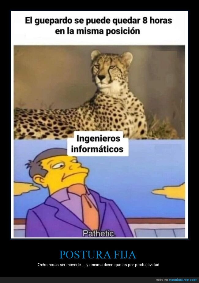 guepardo,informaticos,oficina,postura,productividad