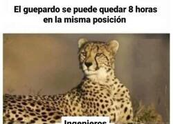 Enlace a 8 horas quieto y sin cuelgues