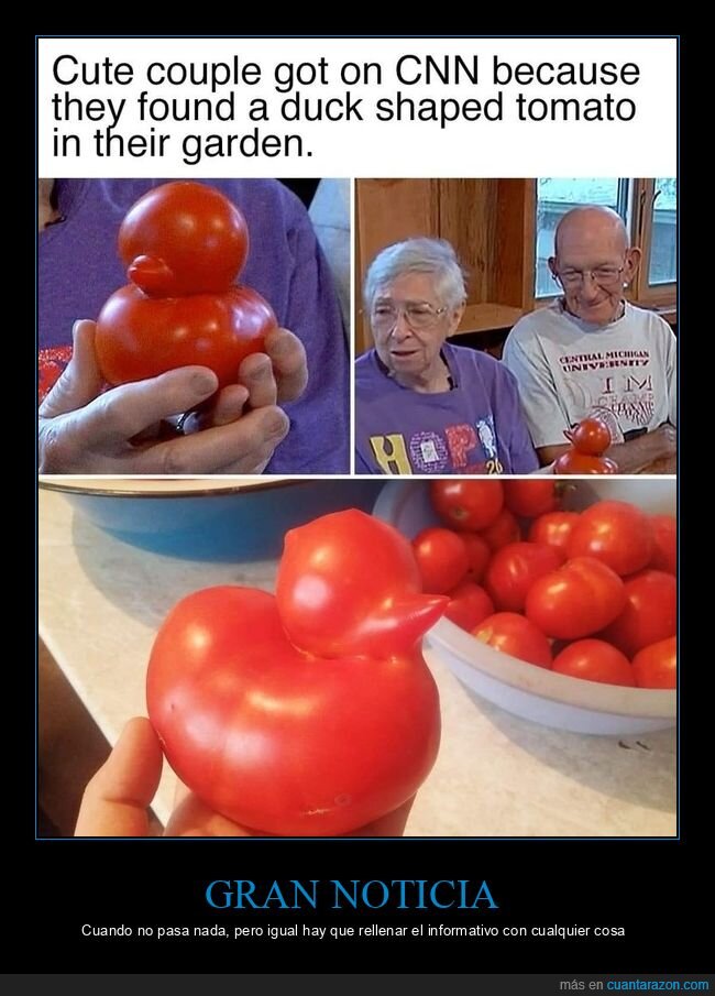 tomate,televisi&oacute;n,noticias,huerto,absurdo