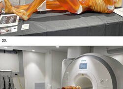 Enlace a 25 cuerpos humanos falsos espeluznantes para practicar radiografías