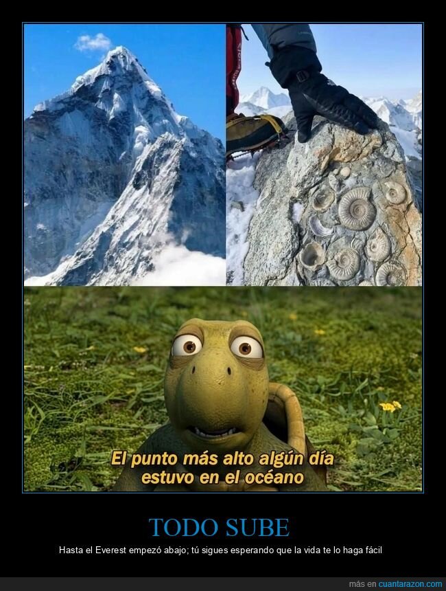 Everest,f&oacute;siles,oc&eacute;ano,geolog&iacute;a,monta&ntilde;a