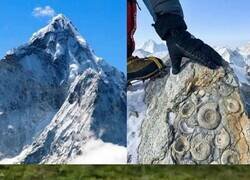 Enlace a Encontraron rocas marinas en el Monte Everest, lo que confirma que el punto más alto de la Tierra alguna vez estuvo en el fondo del océano
