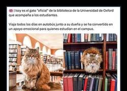 Enlace a Y tú sigues sin abrir el temario