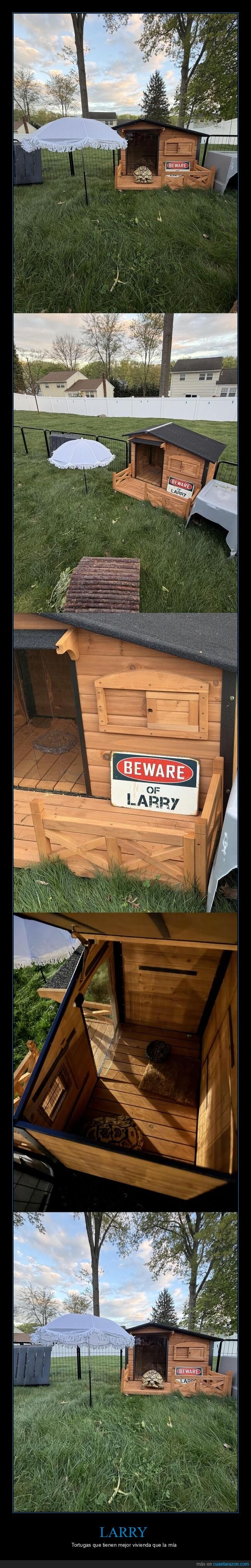 Larry,mudanza,casa,estreno,desastre