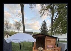 Enlace a Qué envidia le tengo a Larry, que jardinazo tiene