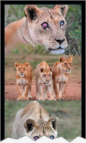 Mejor cartel de ayer