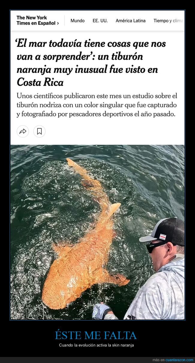 tibur&oacute;n,naranja,oc&eacute;ano,descubrimiento,CostaRica