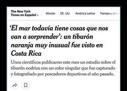 Enlace a ¡Primer tiburón naranja!