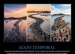 Enlace a El milagro de Jindo