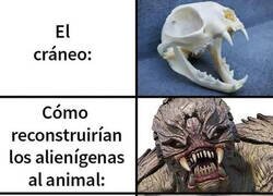 Enlace a Ves un cráneo y ya te montas la película entera