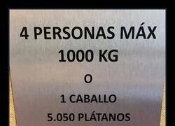Enlace a El ascensor cuñado