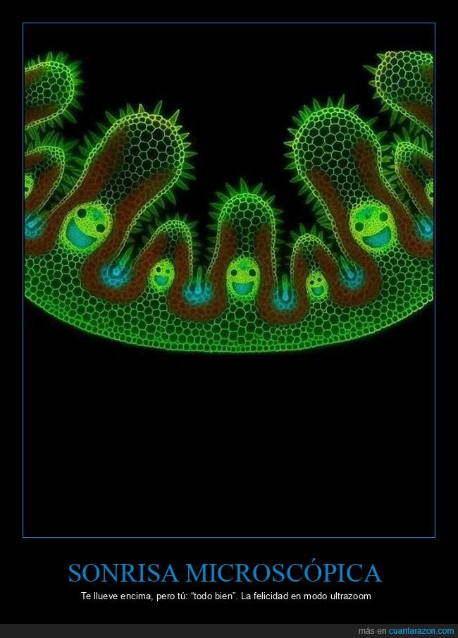 microscopio,lluvia,c&eacute;sped,sonrisa,biolog&iacute;a