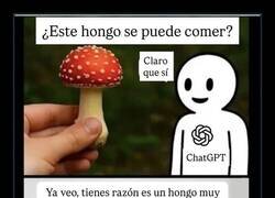 Enlace a Sí, sí… tú prueba