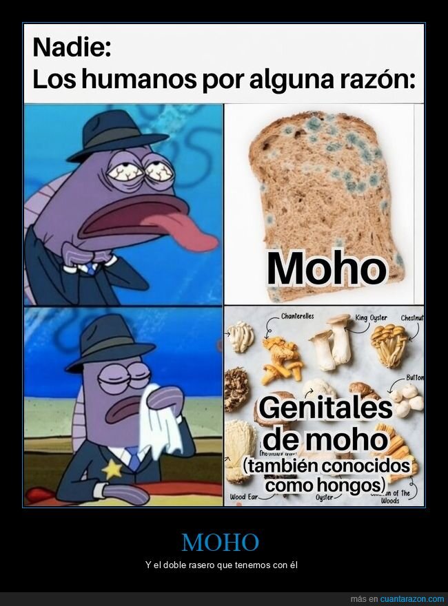 moho,pan,setas,asco,delicatessen