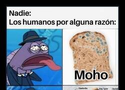 Enlace a Si lo hace el pan, asco; si lo hace el bosque, delicatessen