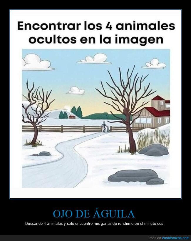 acertijo,animales,camuflaje,observaci&oacute;n,frustraci&oacute;n